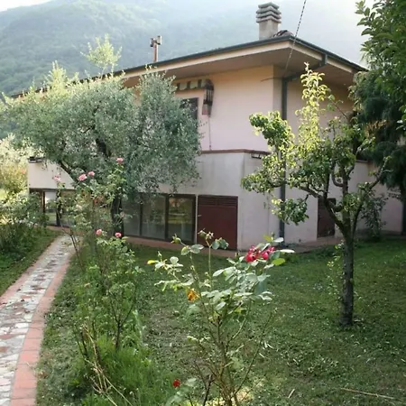 Casciani